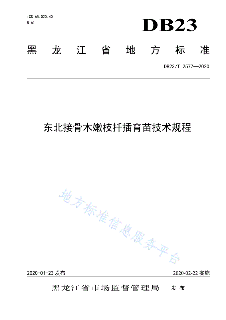 DB23/T 2577-2020 东北接骨木嫩枝扦插育苗技术规程-第1页