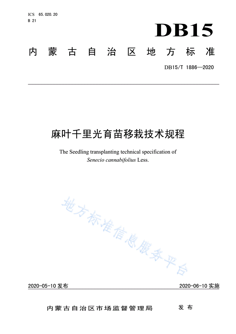 DB15/T 1886-2020 麻叶千里光育苗移栽技术规程-第1页