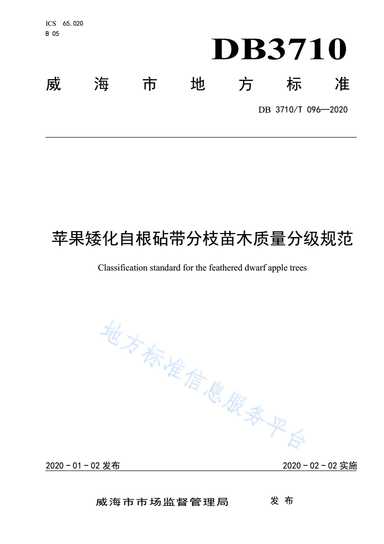 DB3710/T 096-2020 苹果矮化自根砧带分枝苗木质量分级规范-第1页