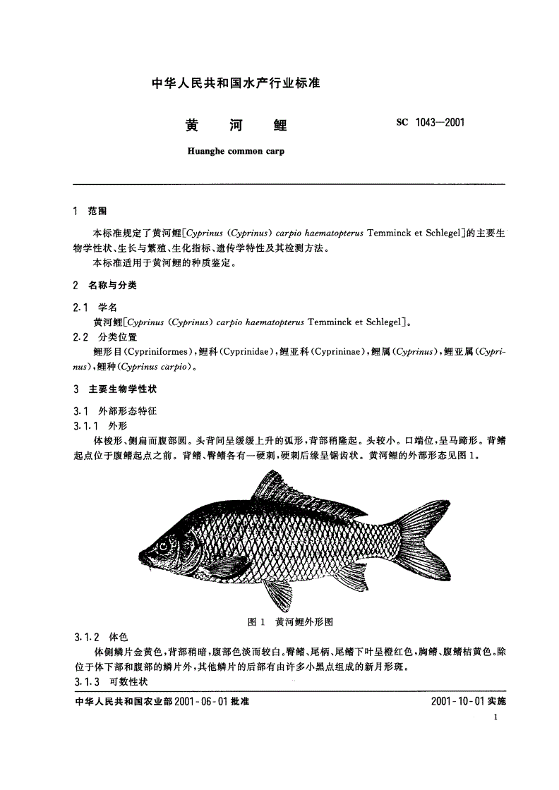 SC 1043-2001 黄河鲤-第3页
