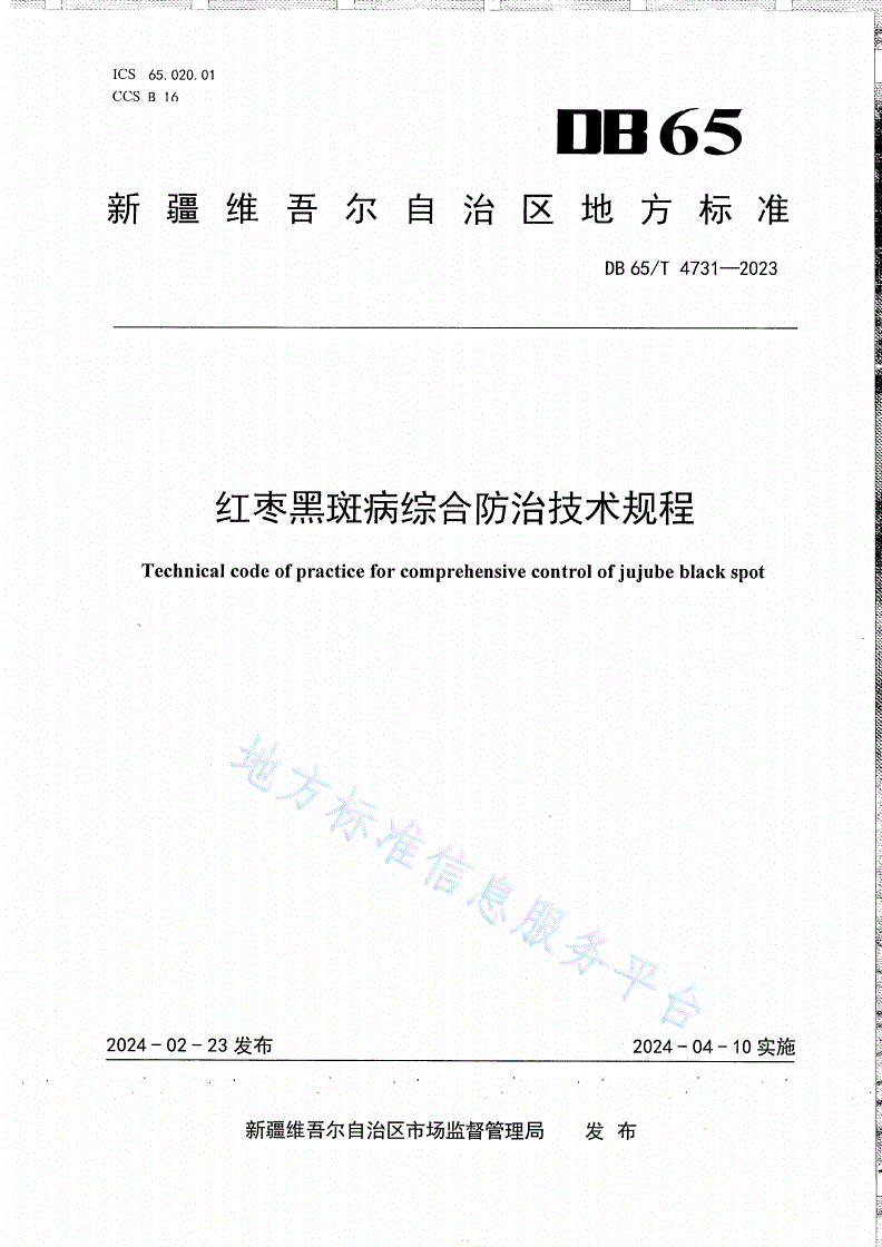 DB65/T 4731-2023 红枣黑斑病综合防治技术规程-第1页