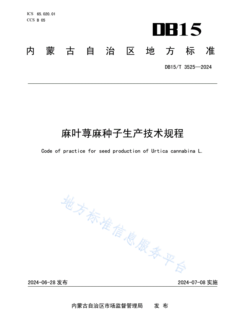 DB15/T 3525-2024 麻叶荨麻种子生产技术规程-第1页