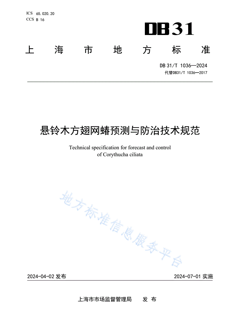 DB31/T 1036-2024 悬铃木方翅网蝽预测与防治技术规范-第1页