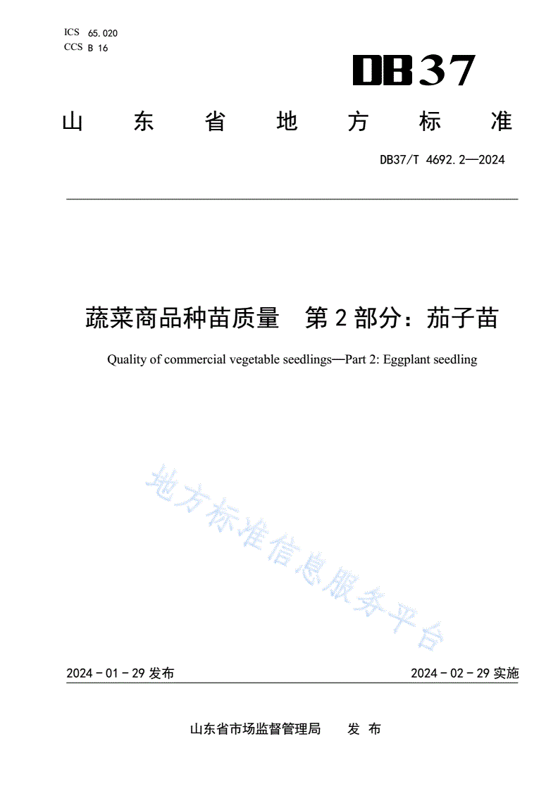 DB37/T 4692.2-2024 蔬菜商品种苗质量  第2部分：茄子苗-第1页