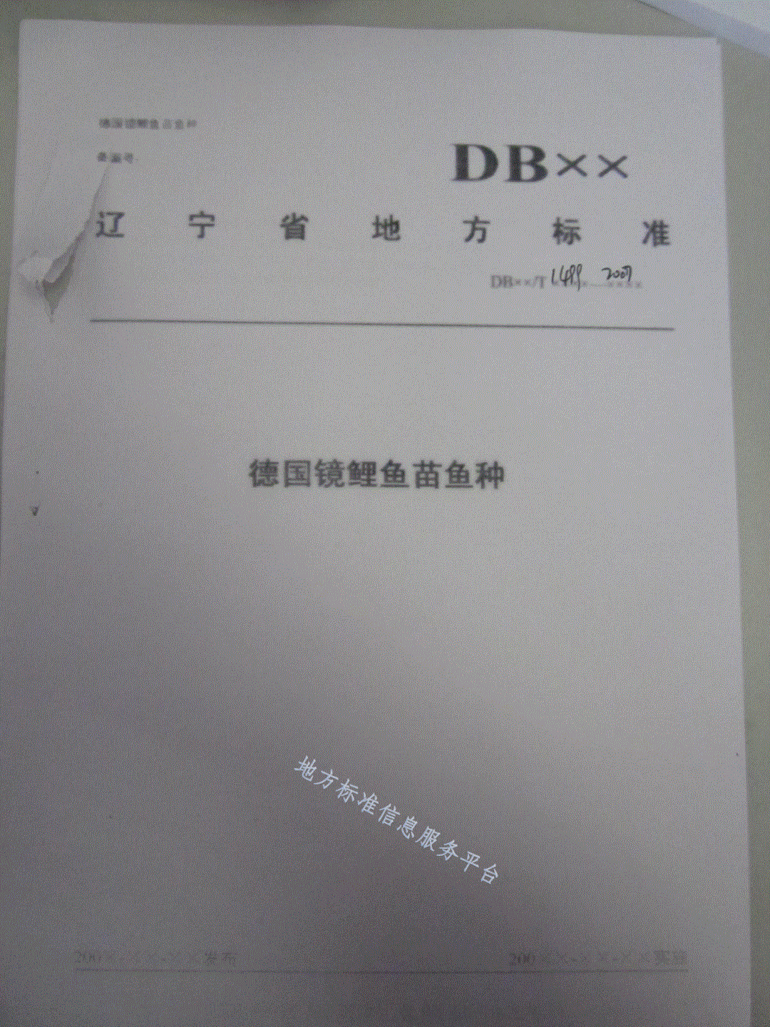 DB21/T 1499-2007 德国镜鲤鱼鱼种-第1页