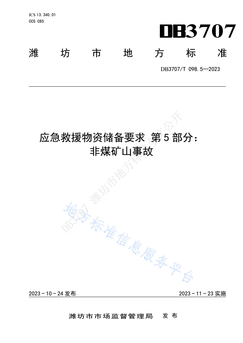 DB3707/T 098.5-2023 应急救援物资储备要求 第5部分：非煤矿山事故-第1页