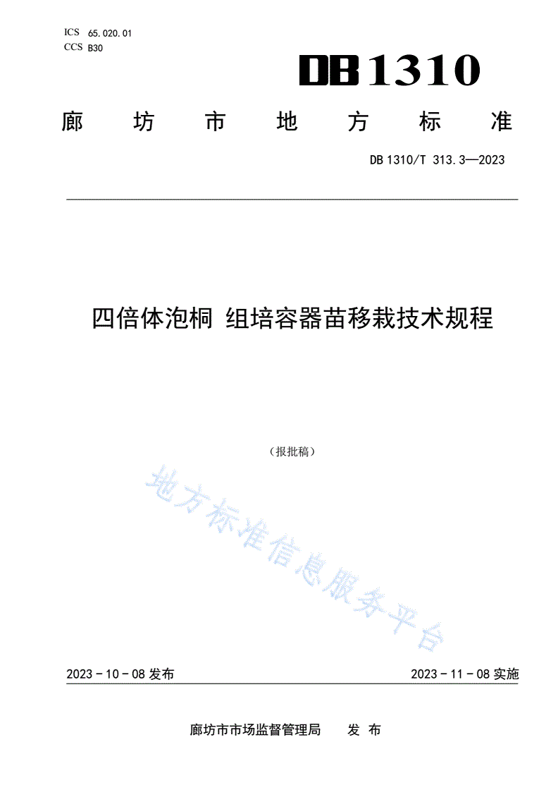 DB1310/T 313.3-2023 四倍体泡桐 组培容器苗移栽技术规程-第1页