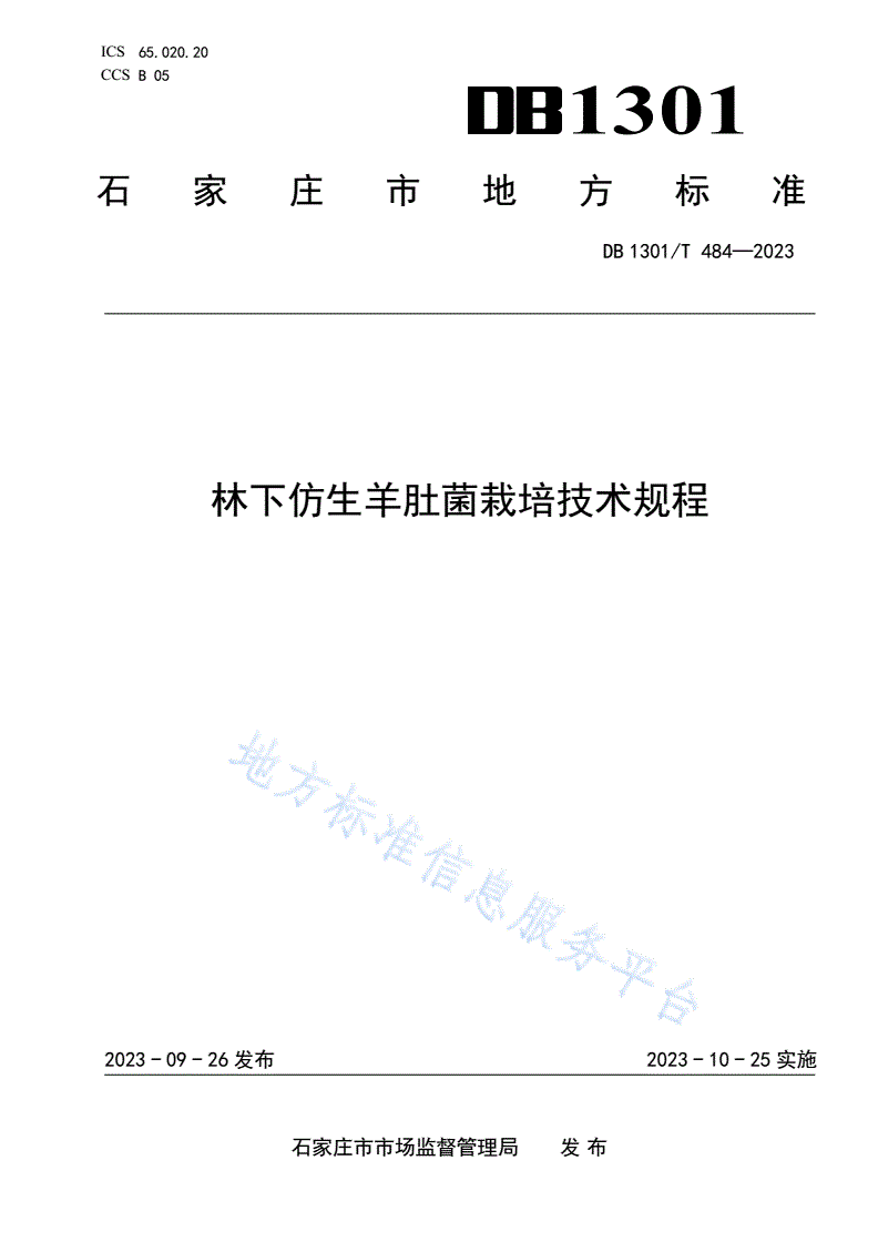 DB1301/T 484-2023 林下仿生羊肚菌栽培技术规程-第1页