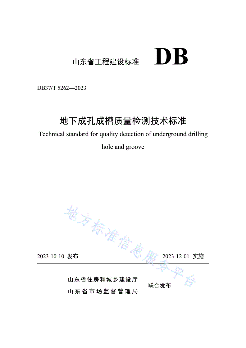 DB37/T 5262-2023 《地下成孔成槽质量检测技术标准》-第1页