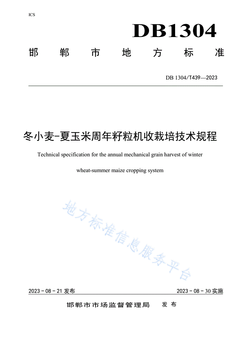 DB1304/T 439-2023 冬小麦-夏玉米周年籽粒机收栽培技术规程-第1页