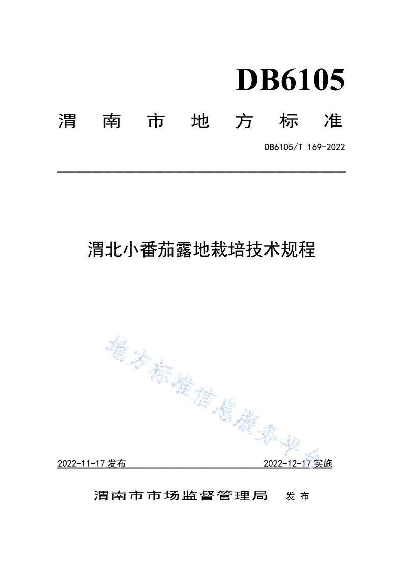 DB6105/T 169-2022 渭北小番茄露地栽培技术规程-第1页