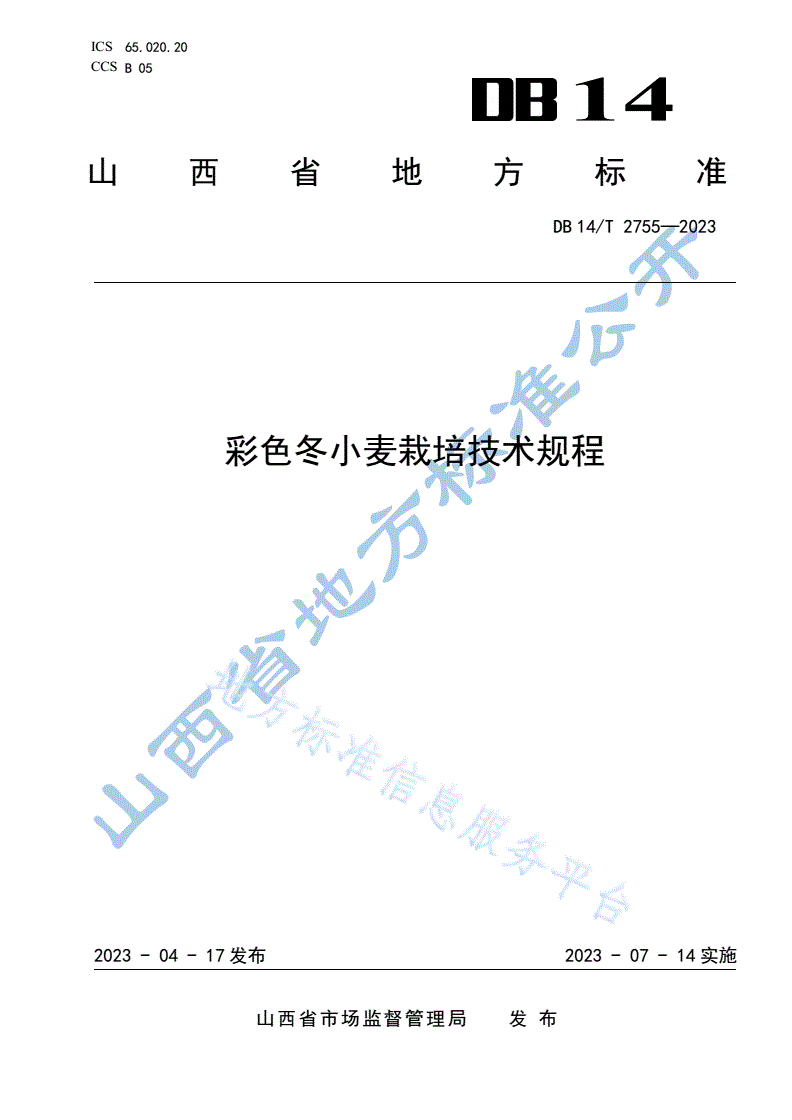 DB14/T 2755-2023 彩色冬小麦栽培技术规程-第1页