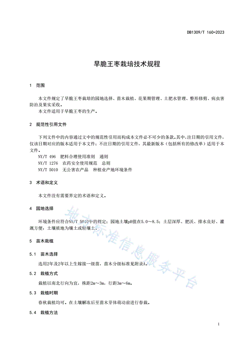 DB1309/T 160-2023 早脆王枣栽培技术规程-第3页