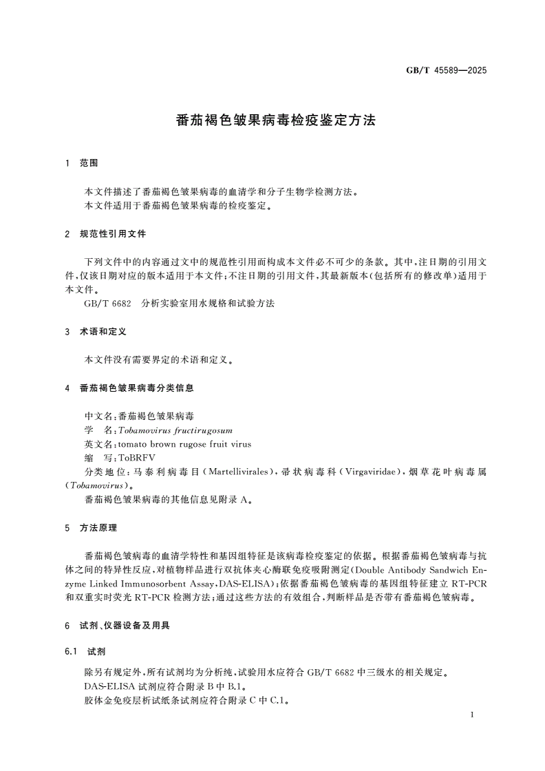 GB/T 45589-2025 番茄褐色皱果病毒检疫鉴定方法-第3页