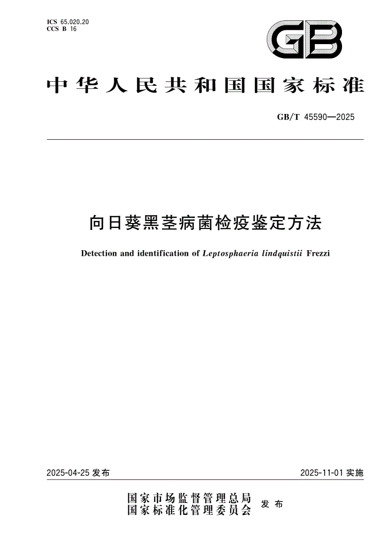 GB/T 45590-2025 向日葵黑茎病菌检疫鉴定方法-第1页