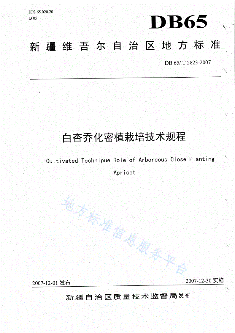 DB65/T 2823-2007 白杏乔化密植栽培技术规程-第1页