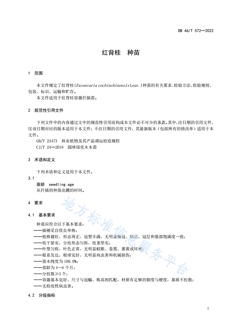 DB46/T 572-2022 红背桂  种苗-第3页