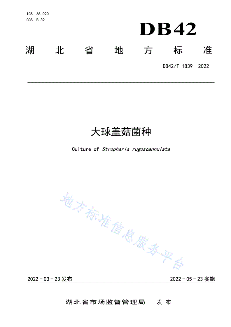 DB42/T 1839-2022 大球盖菇菌种-第1页