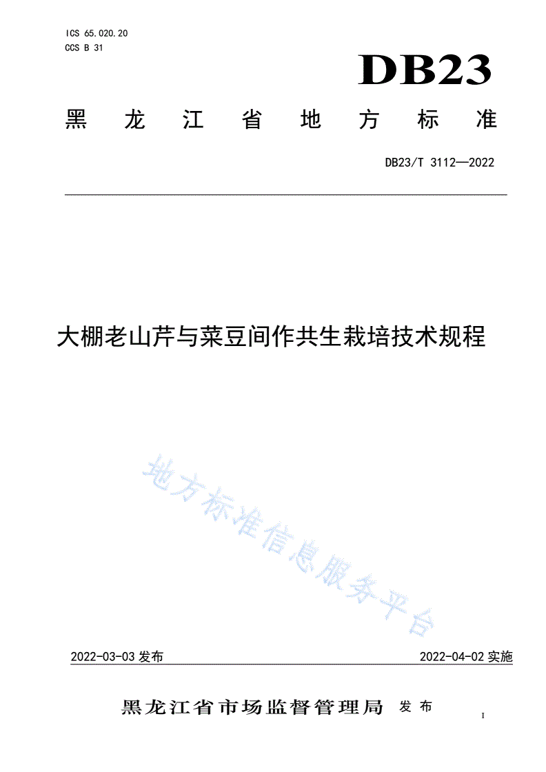 DB23/T 3112-2022 大棚老山芹与菜豆间作共生栽培技术规程-第1页