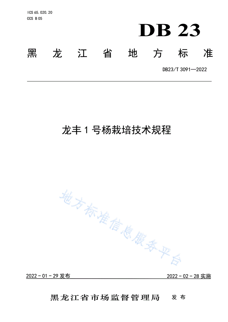 DB23/T 3091-2022 龙丰1号杨栽培技术规程-第1页