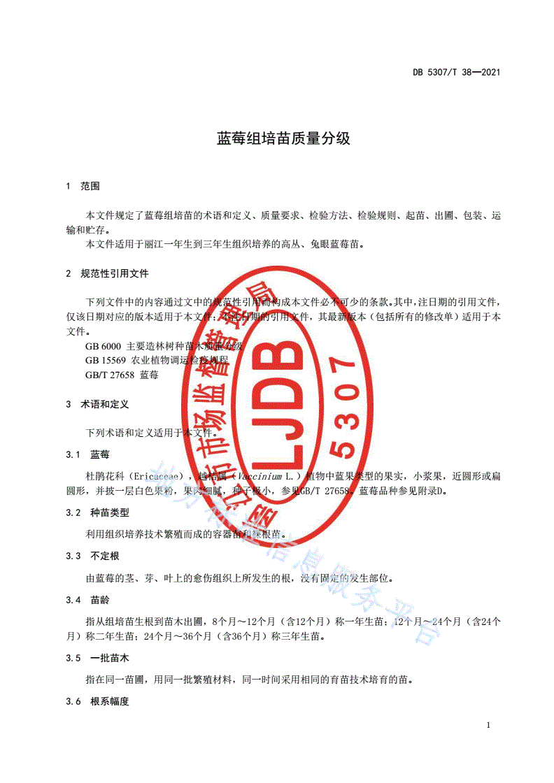 DB5307/T 38-2021 蓝莓组培苗质量分级-第3页