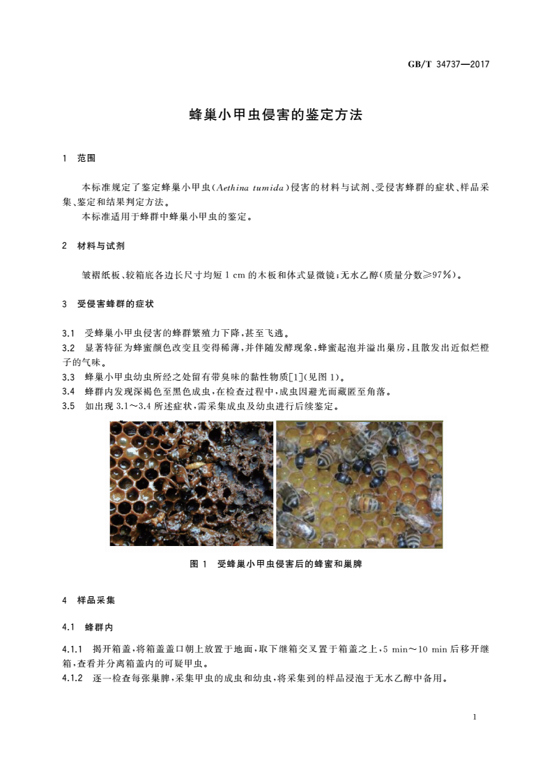 GB/T 34737-2017 蜂巢小甲虫侵害的鉴定方法-第3页