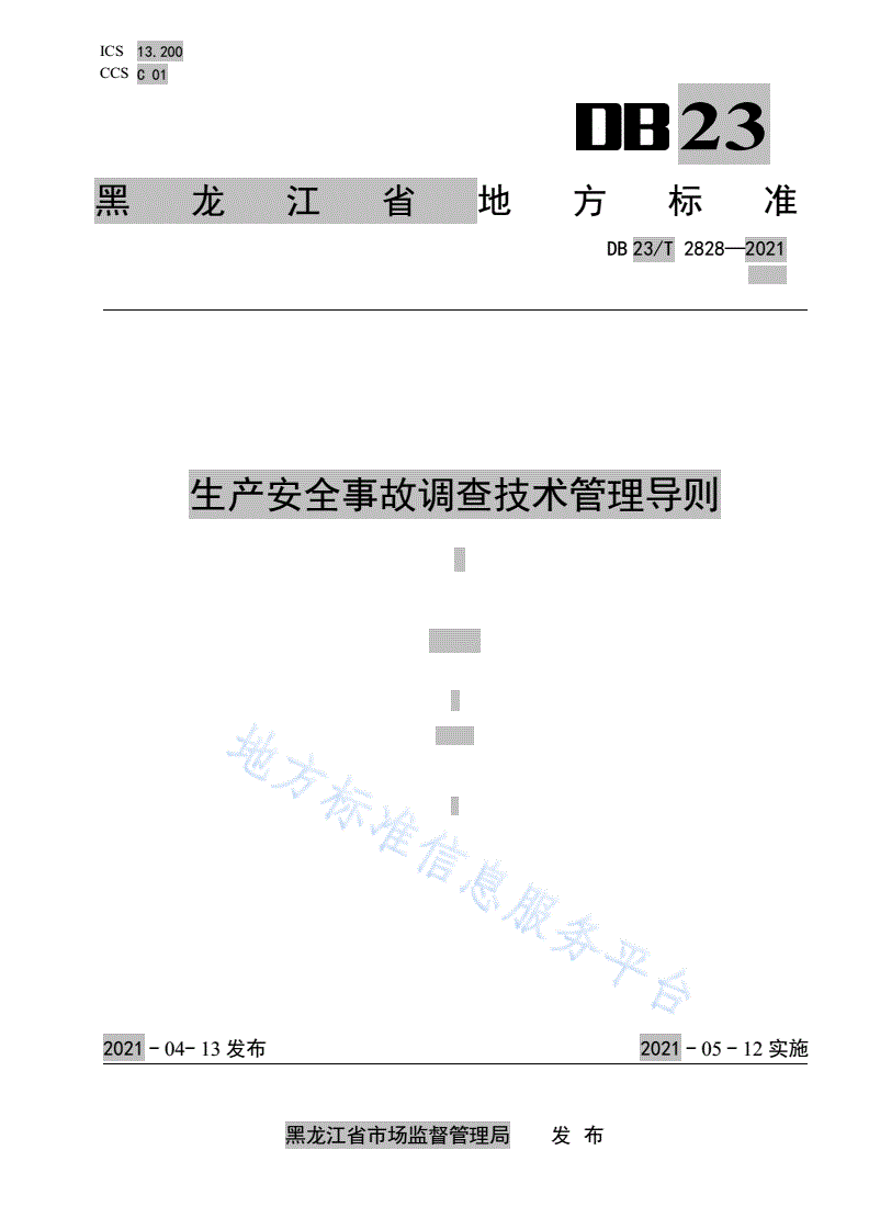 DB23/T 2828-2021 生产安全事故调查技术管理导则-第1页