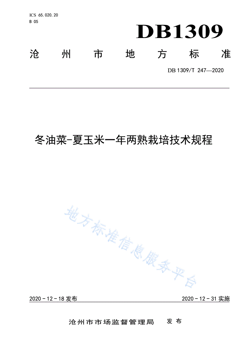 DB1309/T 247-2020 冬油菜-夏玉米一年两熟栽培技术规程-第1页
