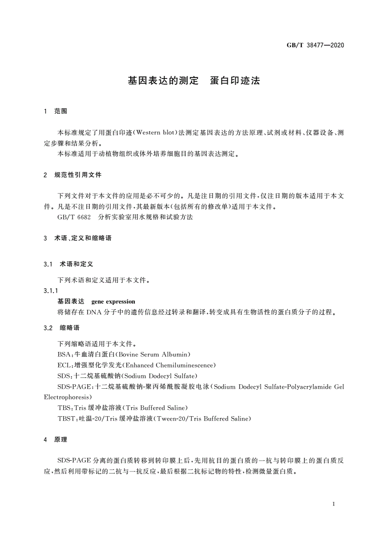 GB/T 38477-2020 基因表达的测定 蛋白印迹法-第3页